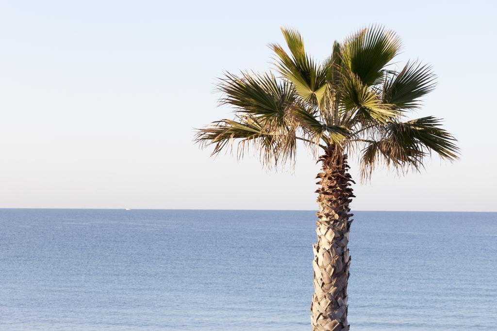 Sud Beach Hotel Fronte Mare By Ria Hotels Marina Di Pulsano Номер фото